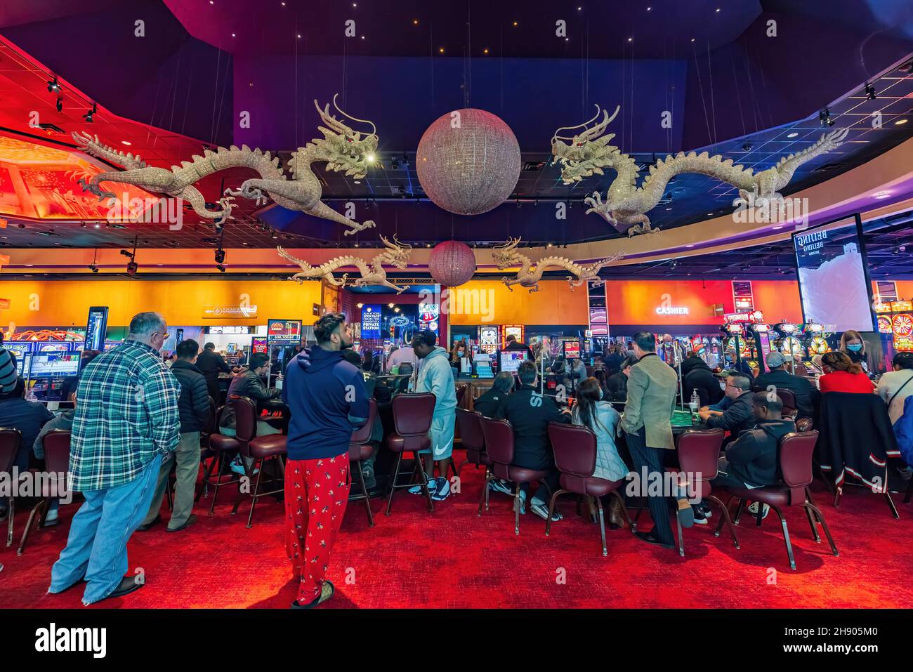 20bet app
