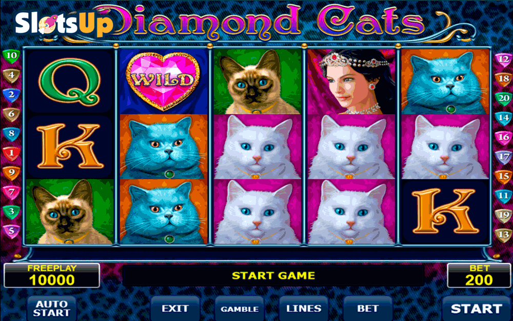 Cats Slot Free Play & Review | CasinoTalk